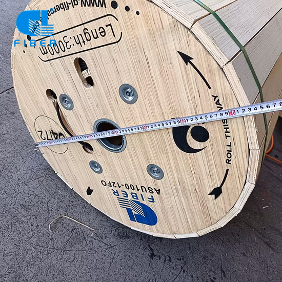 Hochwertiges ADSS 12-Kern-Dielektrikum