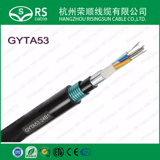 Glasfaserkabel Gyxtc8s/GYTY53/GYTA53/GYTS/ADSS Glasfaserkabel